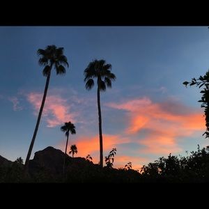 Meet your Posher, Jane